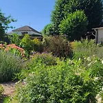 D'hotes Les Glycines Et Petit Dejeuner